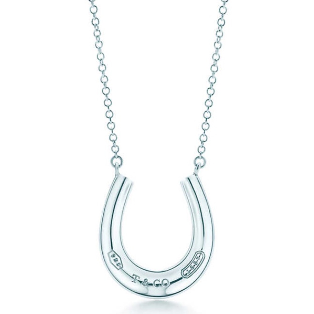 Tiffany & Co. Horseshoe Pendant